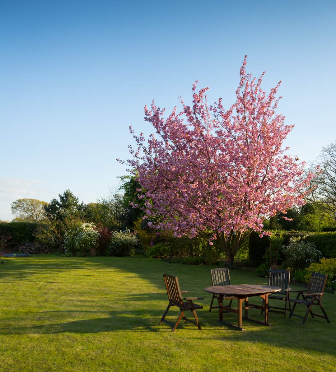 entretien jardin